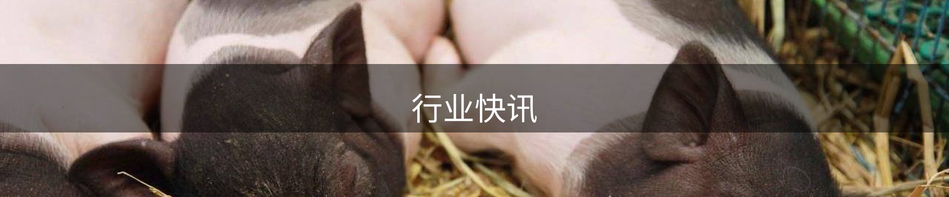 行业快讯